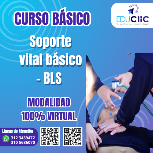 SOPORTE VITAL BÁSICO